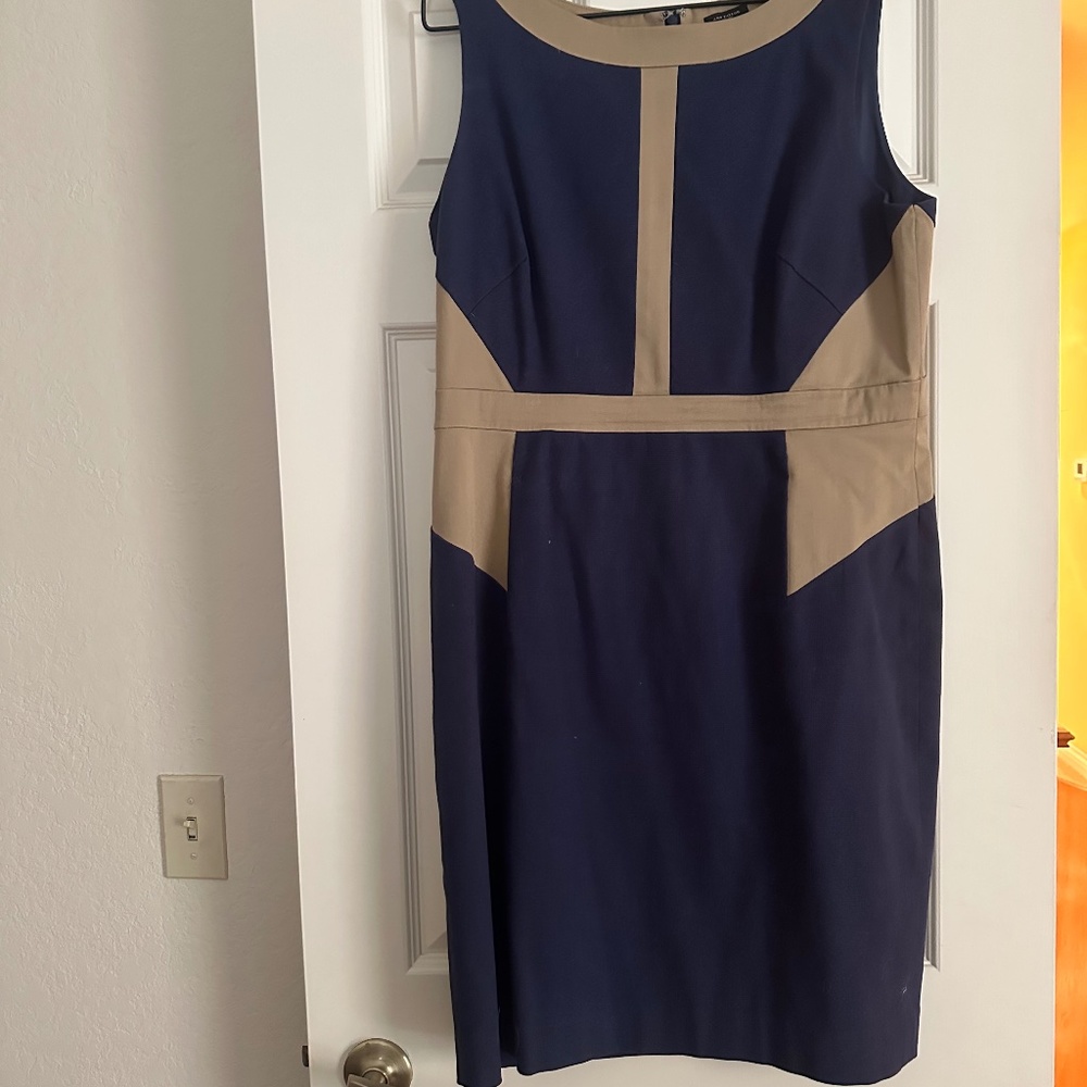 Ann Taylor Dress